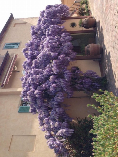 Hotel Palazzo di Valli image 23